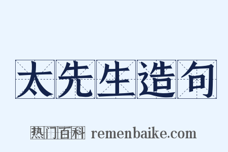 太先生造句是什么意思的图片